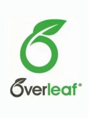 Overleaf AI 7天共享(专业版)