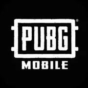 PUBG国际服(地铁逃生)直充-600+60UC