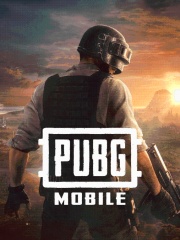 PUBG（国际服）-大月卡+小月卡（订阅两件套）