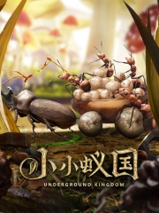 小小蚁国（国际服）代充-1499蚁国币