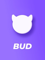 BUD（国际服）代充-124000硬币
