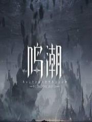 鸣潮（国际服）自抽号-自抽号1